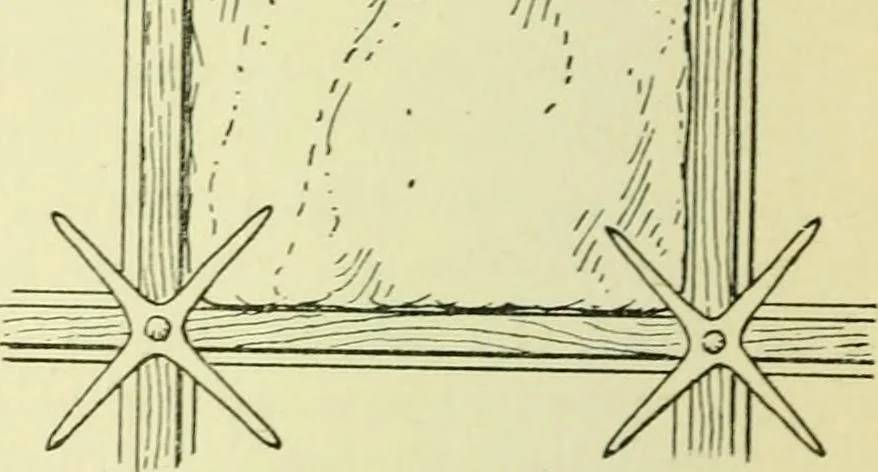 An illustration from Romano-British buildings and earthworks, 1911, leaf 301