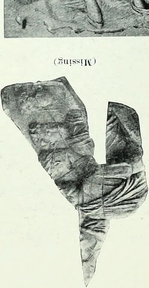 An illustration from Roman sculpture from Augustus to Constantine, 1907, leaf 93