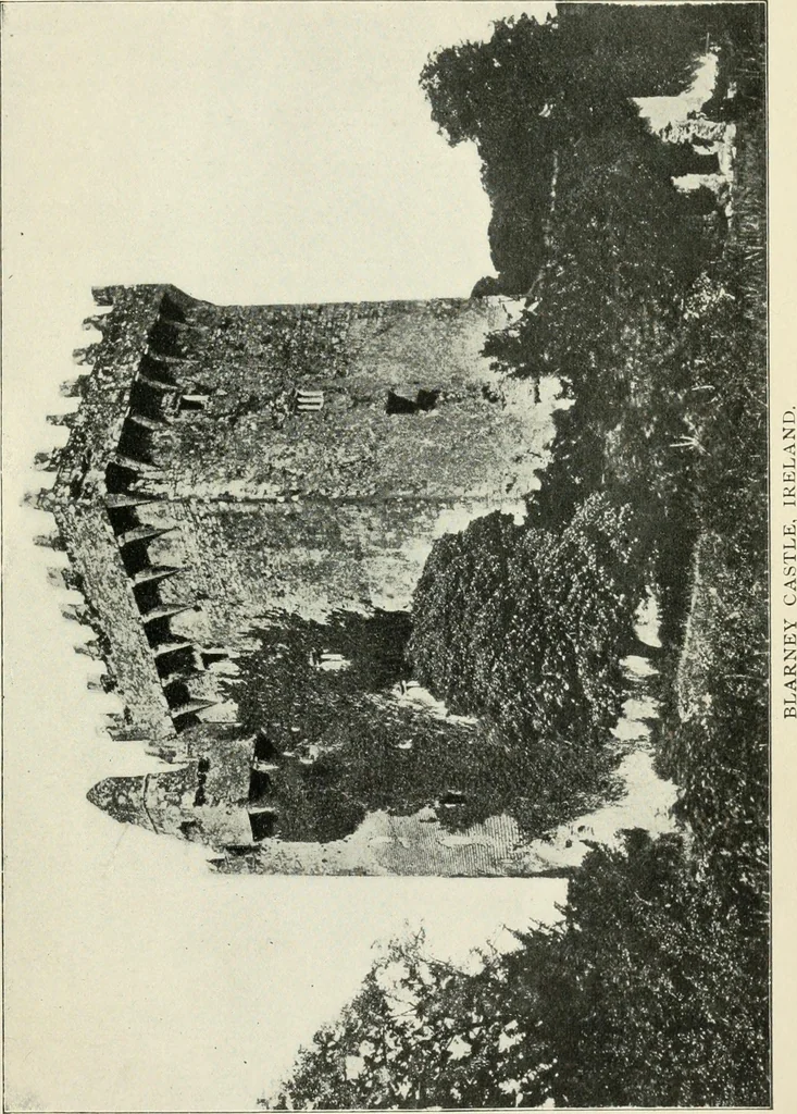 An illustration from Romantic castles and palaces, as seen and described by famous writers;, 1901, leaf 478