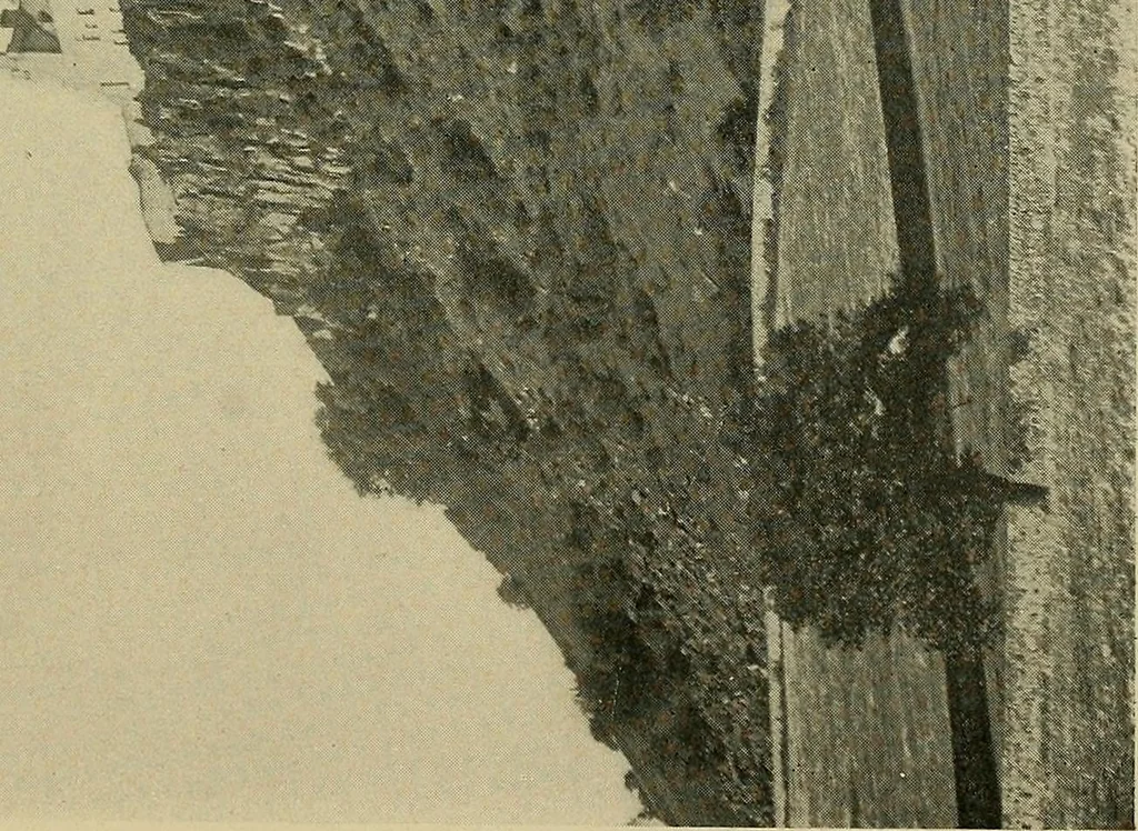 An illustration from Romantic castles and palaces, 1901, leaf 338