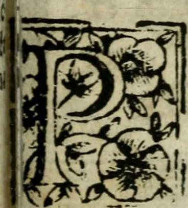 An illustration from Roma ricercata nel suo sito : con tutte le curiosità, che in essa si ritrouano, tanto antiche, come moderne, cioè chiese, monasterij, hospidali, collegij, seminarij, tempij, teatri, anfiteatri, naumachie, cerchi, fori, curie, palazzi, e statue, librarie, musei, pitture, sculture, & i nomi degli artefici, 1687, leaf 116