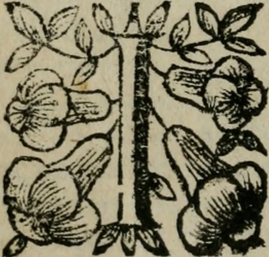 An illustration from Roma ricercata nel suo sito : con tutte le curiosità, che in essa si ritrouano, tanto antiche, come moderne, cioè chiese, monasterij, hospidali, collegij, seminarij, tempij, teatri, anfiteatri, naumachie, cerchi, fori, curie, palazzi, e statue, librarie, musei, pitture, sculture, & i nomi degli artefici, 1687, leaf 29