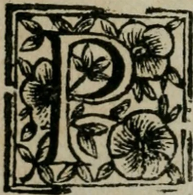 An illustration from Roma ricercata nel suo sito : con tutte le curiosità, che in essa si ritrouano, tanto antiche, come moderne, cioè chiese, monasterij, hospidali, collegij, seminarij, tempij, teatri, anfiteatri, naumachie, cerchi, fori, curie, palazzi, e statue, librarie, musei, pitture, sculture, & i nomi degli artefici, 1687, leaf 45