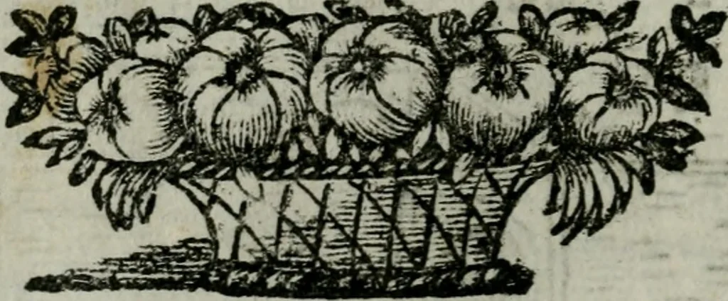 An illustration from Roma ricercata nel suo sito : con tutte le curiosità, che in essa si ritrouano, tanto antiche, come moderne, cioè chiese, monasterij, hospidali, collegij, seminarij, tempij, teatri, anfiteatri, naumachie, cerchi, fori, curie, palazzi, e statue, librarie, musei, pitture, sculture, & i nomi degli artefici, 1687, leaf 55