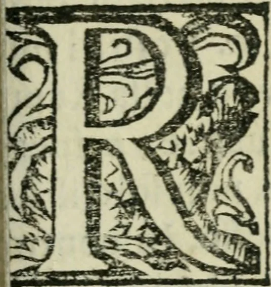 An illustration from Roma ricercata nel suo sito : con tutte le curiosità, che in essa si ritrouano, tanto antiche, come moderne, cioè chiese, monasterij, hospidali, collegij, seminarij, tempij, teatri, anfiteatri, naumachie, cerchi, fori, curie, palazzi, e statue, librarie, musei, pitture, sculture, & i nomi degli artefici, 1687, leaf 8