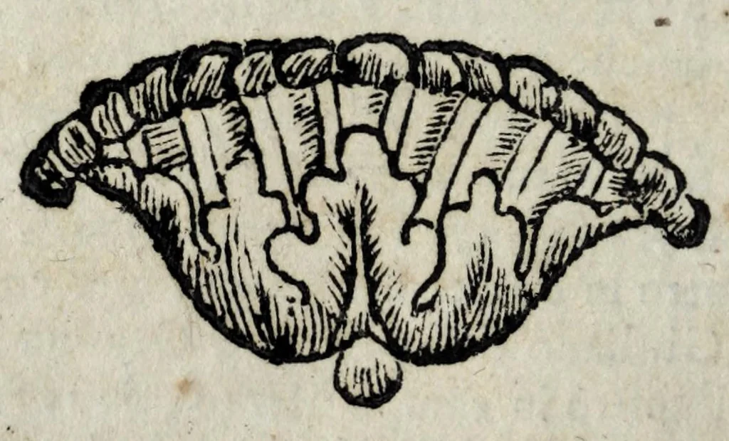An illustration from Roma sacra, antica, e moderna : figurata e diuisa in tre parti, nella prima delle quali si contengono tutte le chiese, reliquie, stationi, indulgenze, ospedali, monasteri, compagnie, collegij seminari, pitture, e scolture, con la vita de' fondatori, e nomi degl' artefici : nella seconda si contiene la genealogia di Romolo, la serie de i rè, consoli e imperatori, teatri, anfiteatri, naumachie, cerchij, fori, curie, palazzi, & altre antichità : nella terza si contiene la descrittione dello stato presente secondo l'ordine di quattordici rioni, con le loro strade, piazze, fontane ... medaglie di tutti i pontefici delineate dal famoso Tempesta, e nomi dell' imperatori, rè, e duchi : cauate da Tito Liuio ... & altri graui autori : con tauola copiosa, & aggionta di tutte le cose notabili, 1687, leaf 90