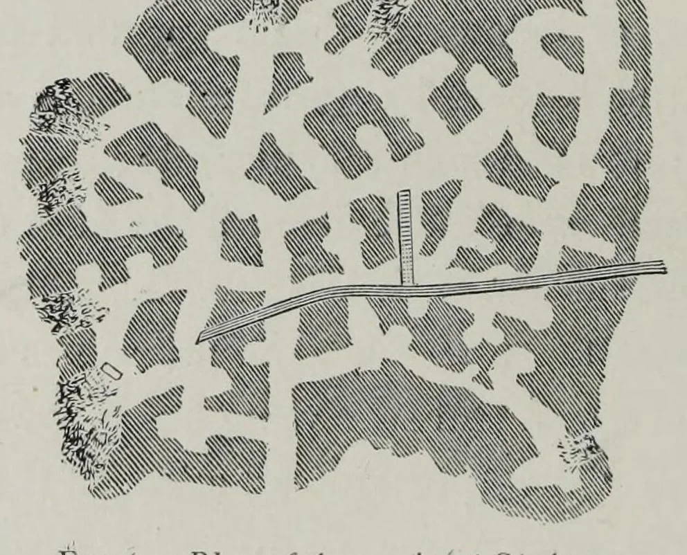 An illustration from Roma sotterranea : or some account of the Roman catacombs, especially of the cemetery of San Callisto, 1869, leaf 56