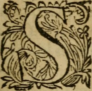 An illustration from Roma subterranea novissima : in qua antiqua christianorum et praecipue martyrum, coemeteria, tituli, monimenta, epitaphia, inscriptiones, ac nobiliora sanctorum sepulchra, tribus libris distincta, fideli enarratione pariter ac graphicis iconibus, ceu gemina face illustrantur : plurimaeque inde res ecclesiasticae declarantur, 1671, leaf 10