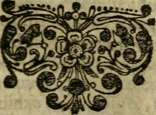 An illustration from Roma subterranea novissima : in qua antiqua christianorum et praecipue martyrum, coemeteria, tituli, monimenta, epitaphia, inscriptiones, ac nobiliora sanctorum sepulchra, tribus libris distincta, fideli enarratione pariter ac graphicis iconibus, ceu gemina face illustrantur : plurimaeque inde res ecclesiasticae declarantur, 1671, leaf 428