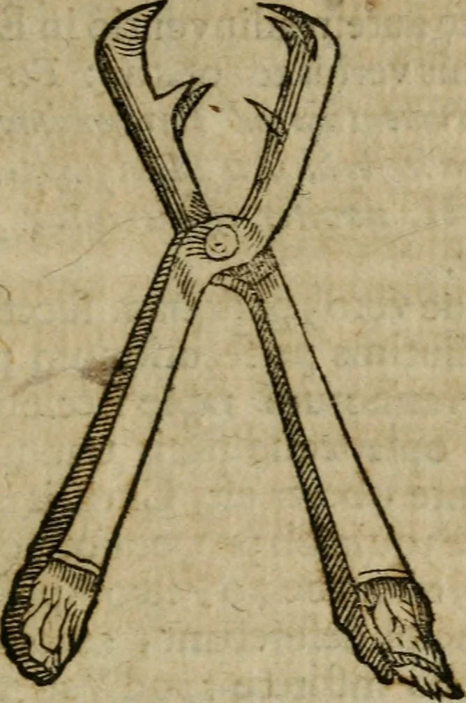An illustration from Roma subterranea novissima : in qua antiqua christianorum et praecipue martyrum, coemeteria, tituli, monimenta, epitaphia, inscriptiones, ac nobiliora sanctorum sepulchra, tribus libris distincta, fideli enarratione pariter ac graphicis iconibus, ceu gemina face illustrantur : plurimaeque inde res ecclesiasticae declarantur, 1671, leaf 50