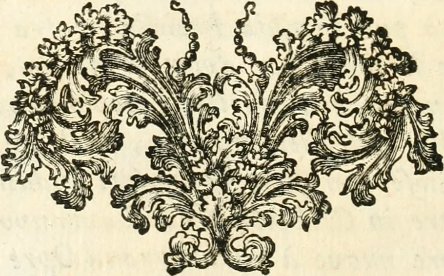 An illustration from Roma, tutrice delle belle arti, pittura, scultura, e architettura : mostrata nel Campidoglio dall'Accademia del disegno il dì 2. ottobre 1710 : essendo principe della medesima il signor cavalier Carlo Maratti, 1710, leaf 27