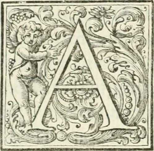 An illustration from Roma, tutrice delle belle arti, pittura, scultura, e architettura : mostrata nel Campidoglio dall'Accademia del disegno il dì 2. ottobre 1710 : essendo principe della medesima il signor cavalier Carlo Maratti, 1710, leaf 30