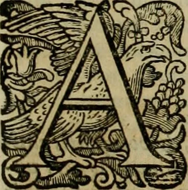 An illustration from Roma vetus ac recens vtriusque aedificiis ad eruditam cognitionem expositis, 1639, leaf 100