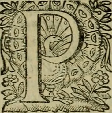 An illustration from Roma vetus ac recens vtriusque aedificiis ad eruditam cognitionem expositis, 1639, leaf 102
