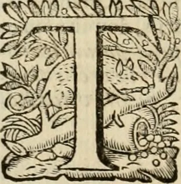 An illustration from Roma vetus ac recens vtriusque aedificiis ad eruditam cognitionem expositis, 1639, leaf 107