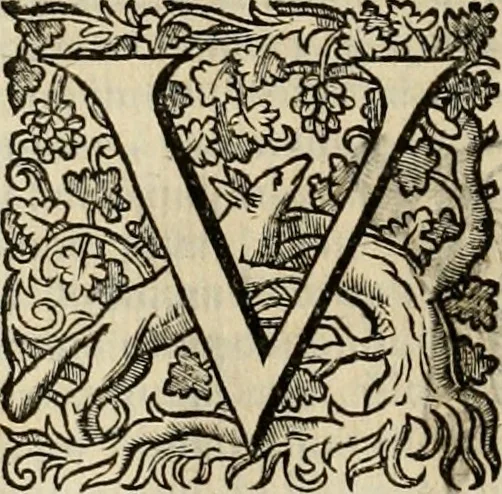 An illustration from Roma vetus ac recens vtriusque aedificiis ad eruditam cognitionem expositis, 1639, leaf 123