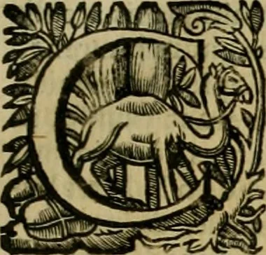 An illustration from Roma vetus ac recens vtriusque aedificiis ad eruditam cognitionem expositis, 1639, leaf 134