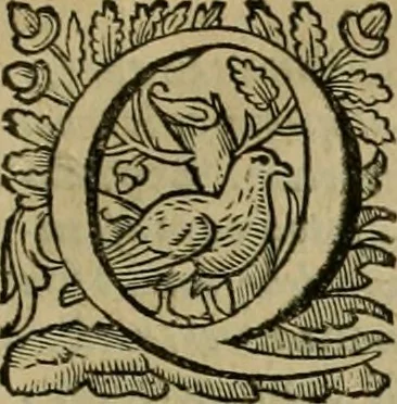 An illustration from Roma vetus ac recens vtriusque aedificiis ad eruditam cognitionem expositis, 1639, leaf 154