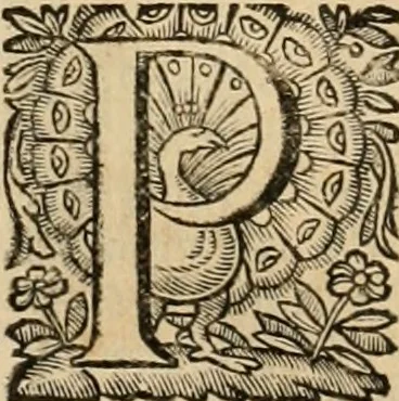 An illustration from Roma vetus ac recens vtriusque aedificiis ad eruditam cognitionem expositis, 1639, leaf 159