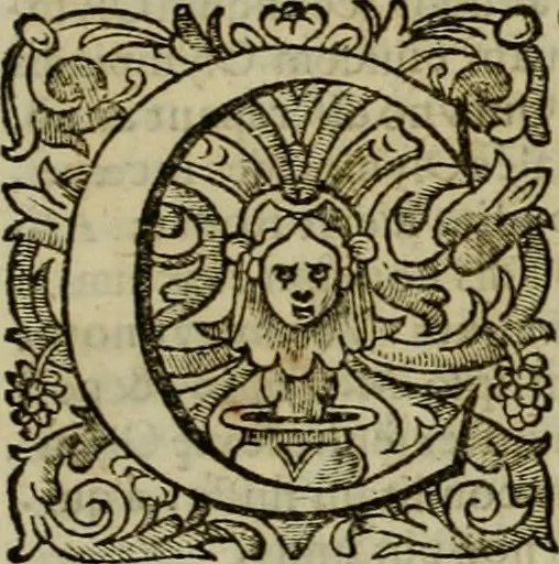 An illustration from Roma vetus ac recens vtriusque aedificiis ad eruditam cognitionem expositis, 1639, leaf 16