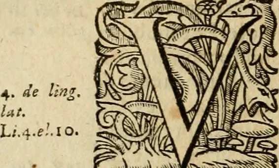 An illustration from Roma vetus ac recens vtriusque aedificiis ad eruditam cognitionem expositis, 1639, leaf 165