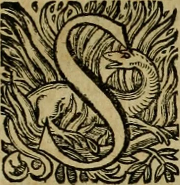 An illustration from Roma vetus ac recens vtriusque aedificiis ad eruditam cognitionem expositis, 1639, leaf 178