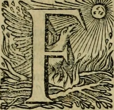 An illustration from Roma vetus ac recens vtriusque aedificiis ad eruditam cognitionem expositis, 1639, leaf 188