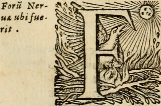 An illustration from Roma vetus ac recens vtriusque aedificiis ad eruditam cognitionem expositis, 1639, leaf 189