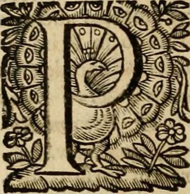 An illustration from Roma vetus ac recens vtriusque aedificiis ad eruditam cognitionem expositis, 1639, leaf 193