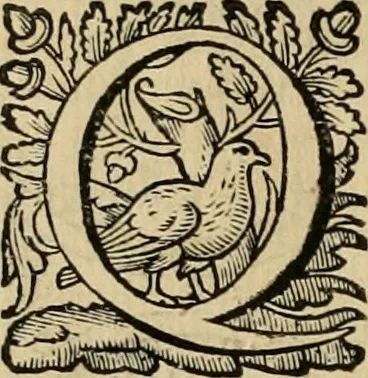 An illustration from Roma vetus ac recens vtriusque aedificiis ad eruditam cognitionem expositis, 1639, leaf 197