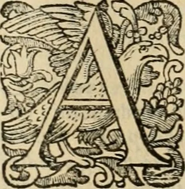 An illustration from Roma vetus ac recens vtriusque aedificiis ad eruditam cognitionem expositis, 1639, leaf 199