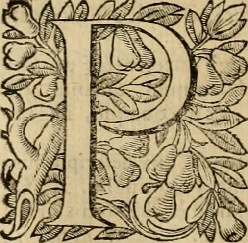 An illustration from Roma vetus ac recens vtriusque aedificiis ad eruditam cognitionem expositis, 1639, leaf 207