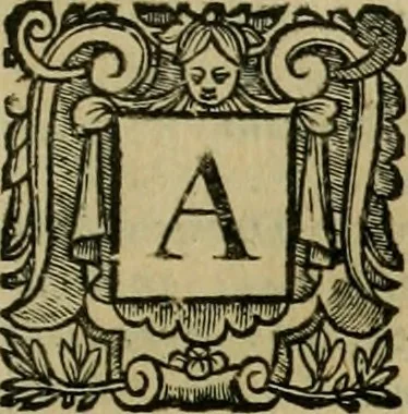 An illustration from Roma vetus ac recens vtriusque aedificiis ad eruditam cognitionem expositis, 1639, leaf 208