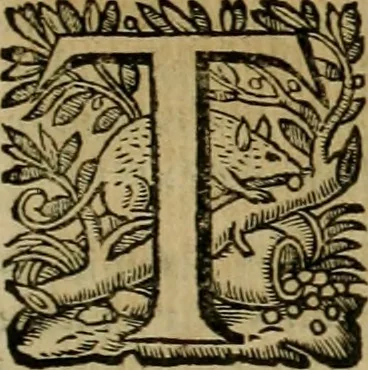 An illustration from Roma vetus ac recens vtriusque aedificiis ad eruditam cognitionem expositis, 1639, leaf 216