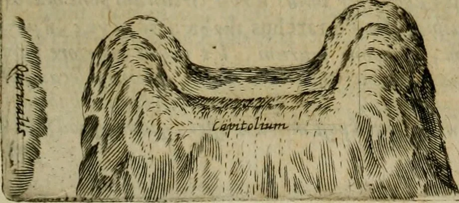 An illustration from Roma vetus ac recens vtriusque aedificiis ad eruditam cognitionem expositis, 1639, leaf 22