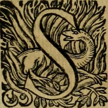 An illustration from Roma vetus ac recens vtriusque aedificiis ad eruditam cognitionem expositis, 1639, leaf 220
