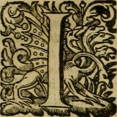An illustration from Roma vetus ac recens vtriusque aedificiis ad eruditam cognitionem expositis, 1639, leaf 236