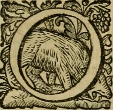 An illustration from Roma vetus ac recens vtriusque aedificiis ad eruditam cognitionem expositis, 1639, leaf 240