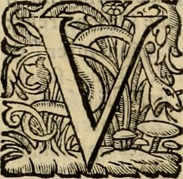 An illustration from Roma vetus ac recens vtriusque aedificiis ad eruditam cognitionem expositis, 1639, leaf 245