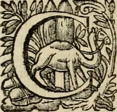 An illustration from Roma vetus ac recens vtriusque aedificiis ad eruditam cognitionem expositis, 1639, leaf 253