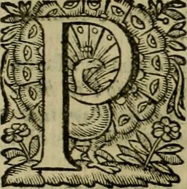 An illustration from Roma vetus ac recens vtriusque aedificiis ad eruditam cognitionem expositis, 1639, leaf 262