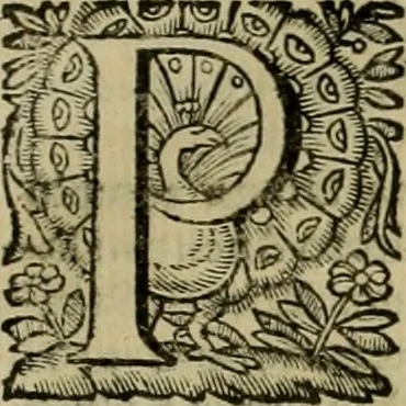 An illustration from Roma vetus ac recens vtriusque aedificiis ad eruditam cognitionem expositis, 1639, leaf 266