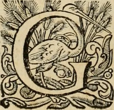 An illustration from Roma vetus ac recens vtriusque aedificiis ad eruditam cognitionem expositis, 1639, leaf 27