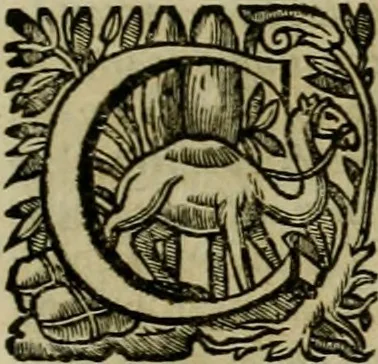 An illustration from Roma vetus ac recens vtriusque aedificiis ad eruditam cognitionem expositis, 1639, leaf 276
