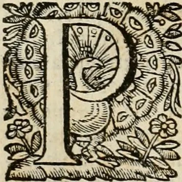 An illustration from Roma vetus ac recens vtriusque aedificiis ad eruditam cognitionem expositis, 1639, leaf 303