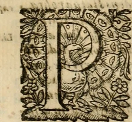 An illustration from Roma vetus ac recens vtriusque aedificiis ad eruditam cognitionem expositis, 1639, leaf 311