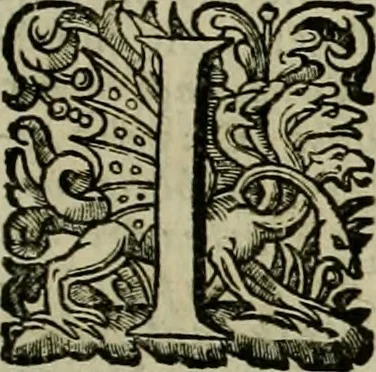 An illustration from Roma vetus ac recens vtriusque aedificiis ad eruditam cognitionem expositis, 1639, leaf 32