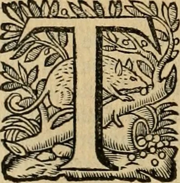 An illustration from Roma vetus ac recens vtriusque aedificiis ad eruditam cognitionem expositis, 1639, leaf 321