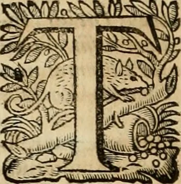 An illustration from Roma vetus ac recens vtriusque aedificiis ad eruditam cognitionem expositis, 1639, leaf 327