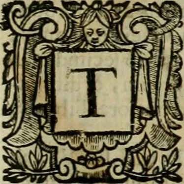 An illustration from Roma vetus ac recens vtriusque aedificiis ad eruditam cognitionem expositis, 1639, leaf 328